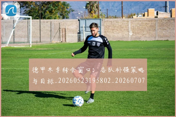 德甲冬季转会窗口：各队补强策略与目标_20260523195802_20260707153522